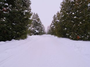 DSCF5390