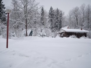 DSCF5484